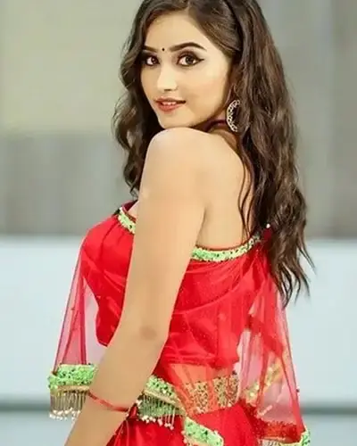 Escort In Mantralayam